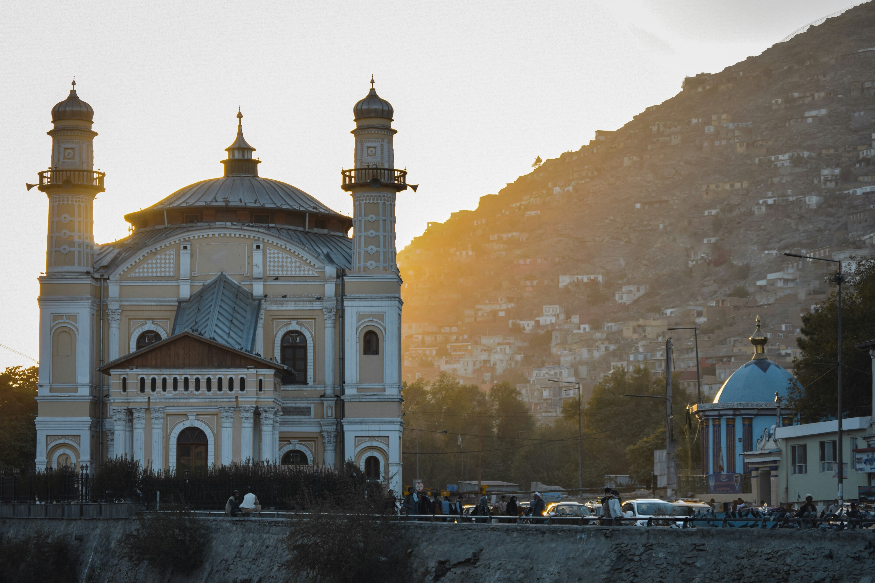 Rubab Instrument